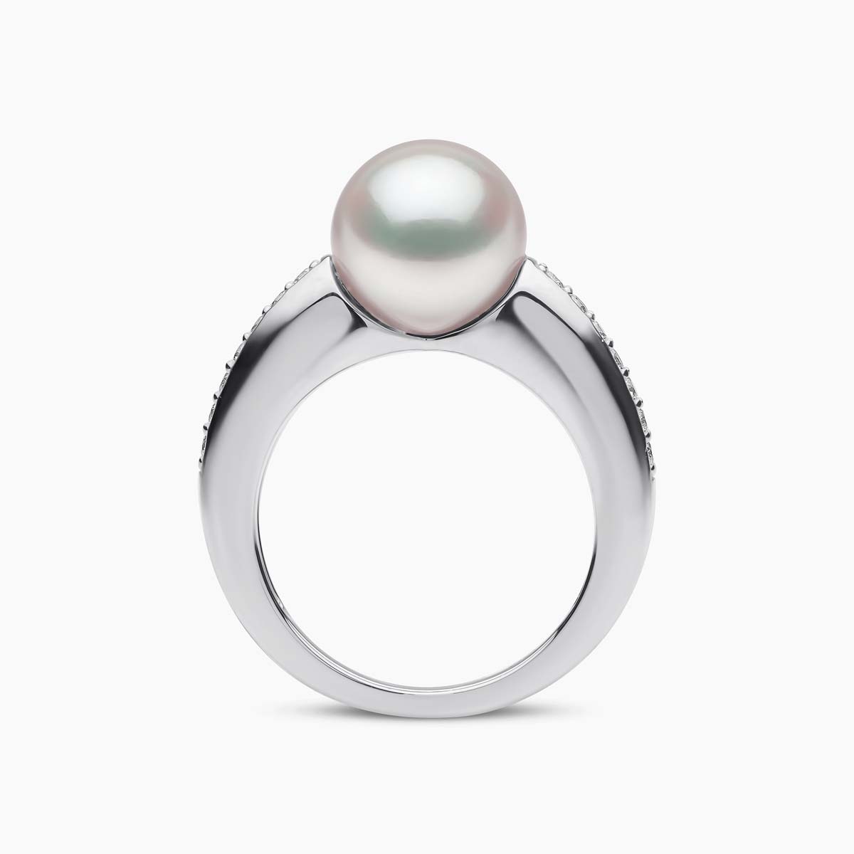 White Gold / White Australian South Sea