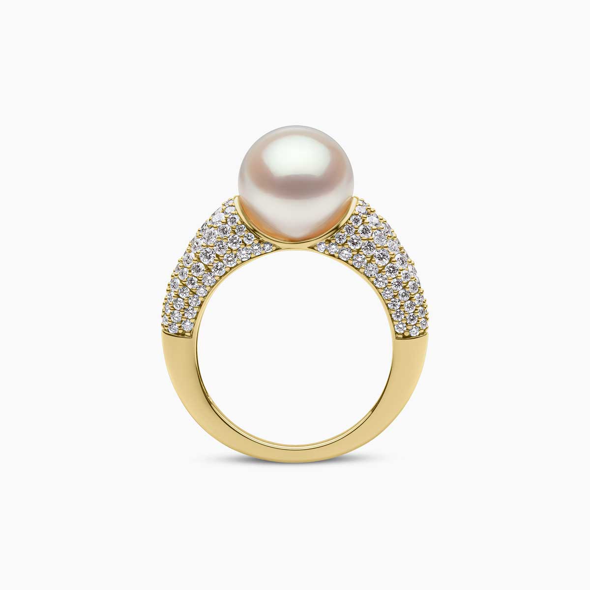 Yellow Gold / White Australian South Sea