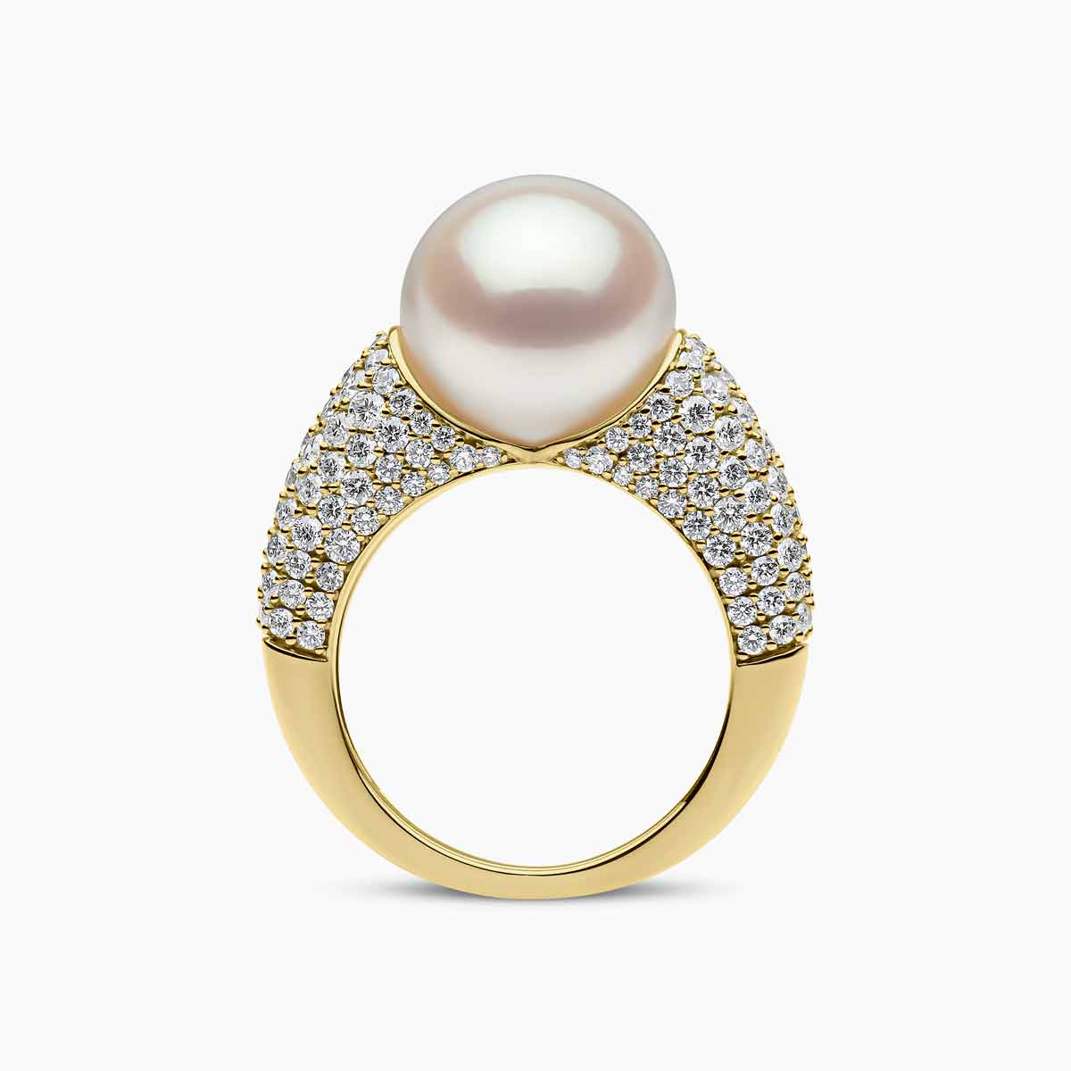 Yellow Gold / White Australian South Sea