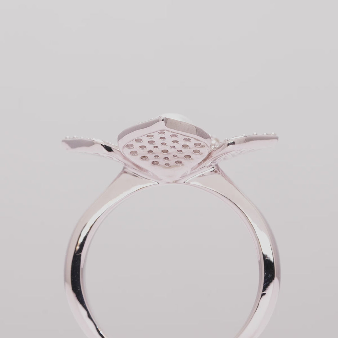 White Gold / White Japanese Akoya